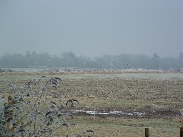 2009 01 10 Frost 0026